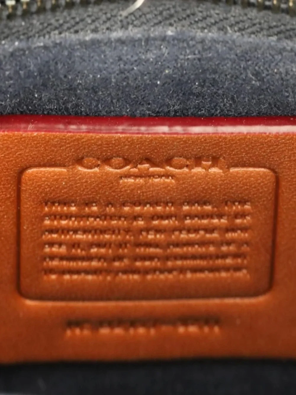 Coach description beautiful